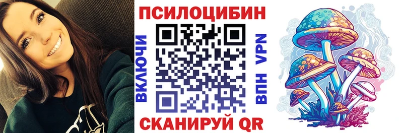 где продают наркотики Видное hydra ССЫЛКА Псилоцибиновые грибы прущие грибы